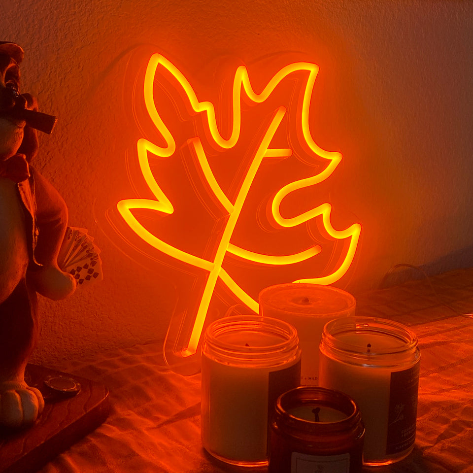 Fall Vibes Bundle